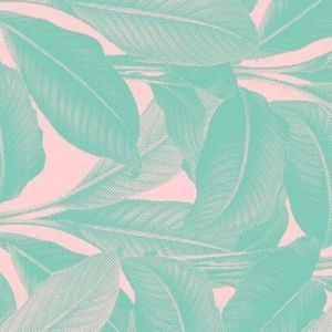 Meet your Posher, Ella